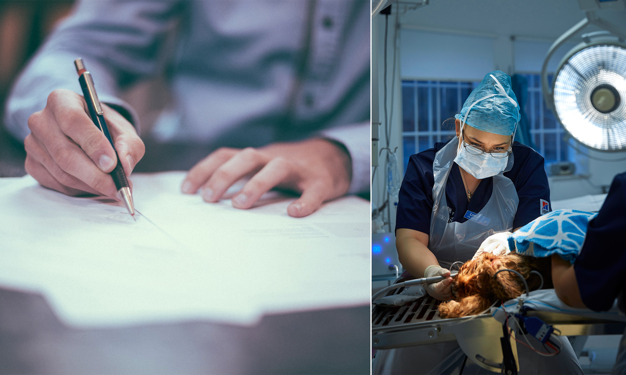 Bild på hand som signerar avtal och bild på veterinär.