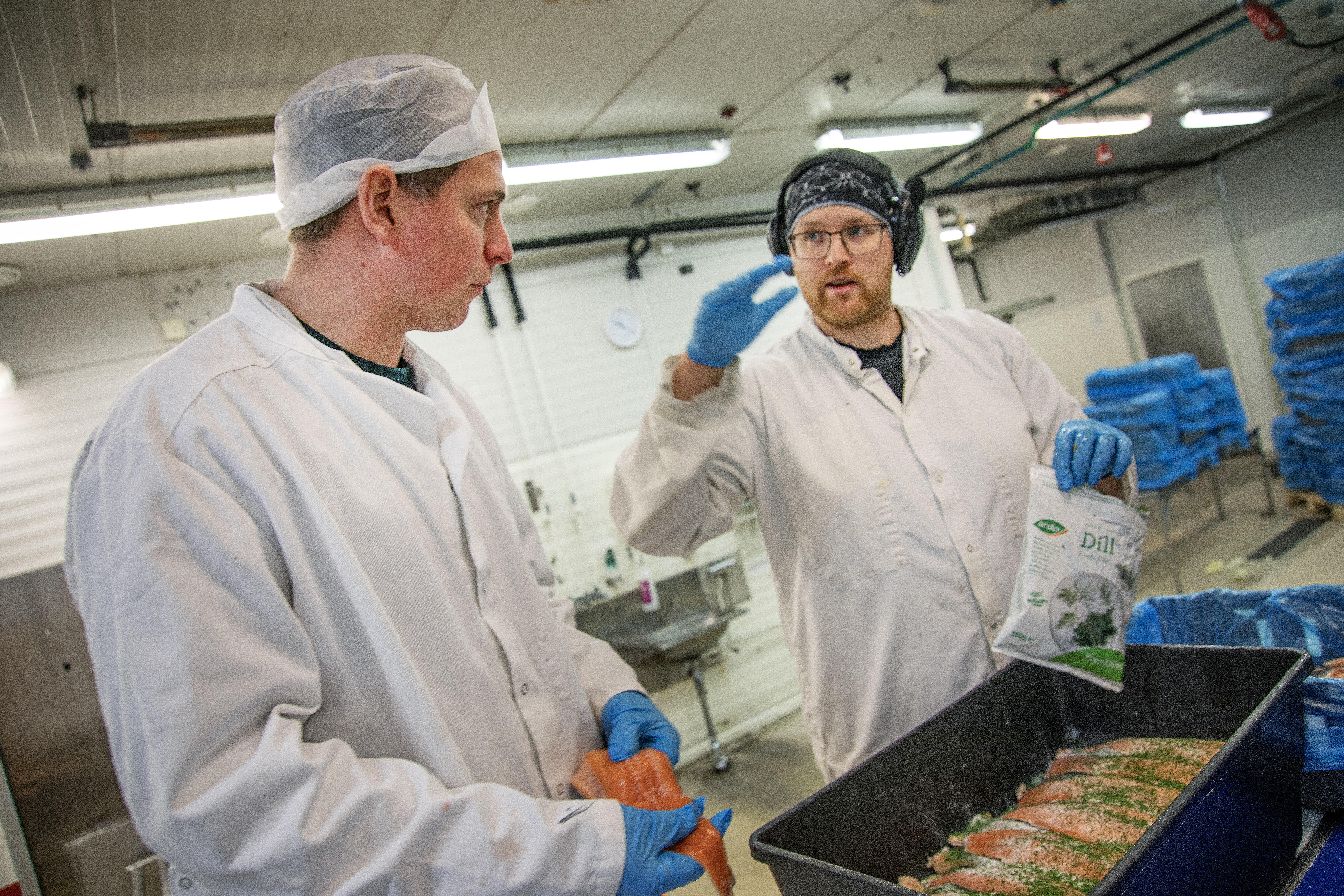 Bild på Emanuel Nygren i samspråk med Per Christoffer ”PC” Ekbäck som är i färd med att grava fjällröding i förädlingsanläggningen i Vilhelmina.