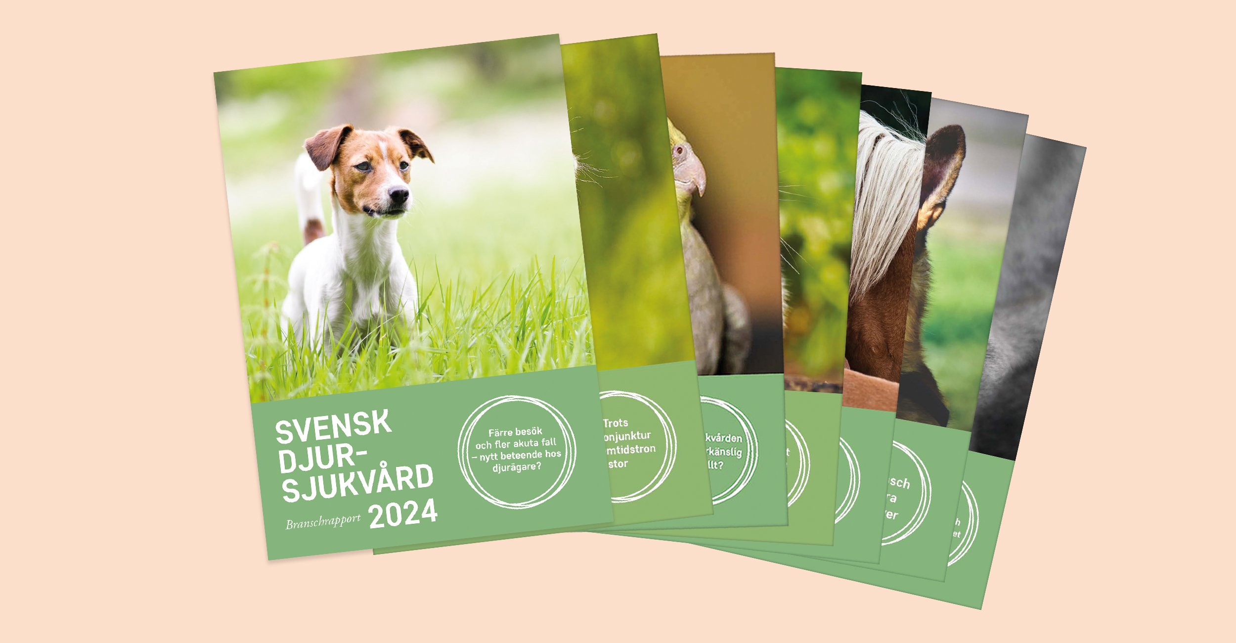 Bilder på Svensk Djursjukvårds branschrapporter.