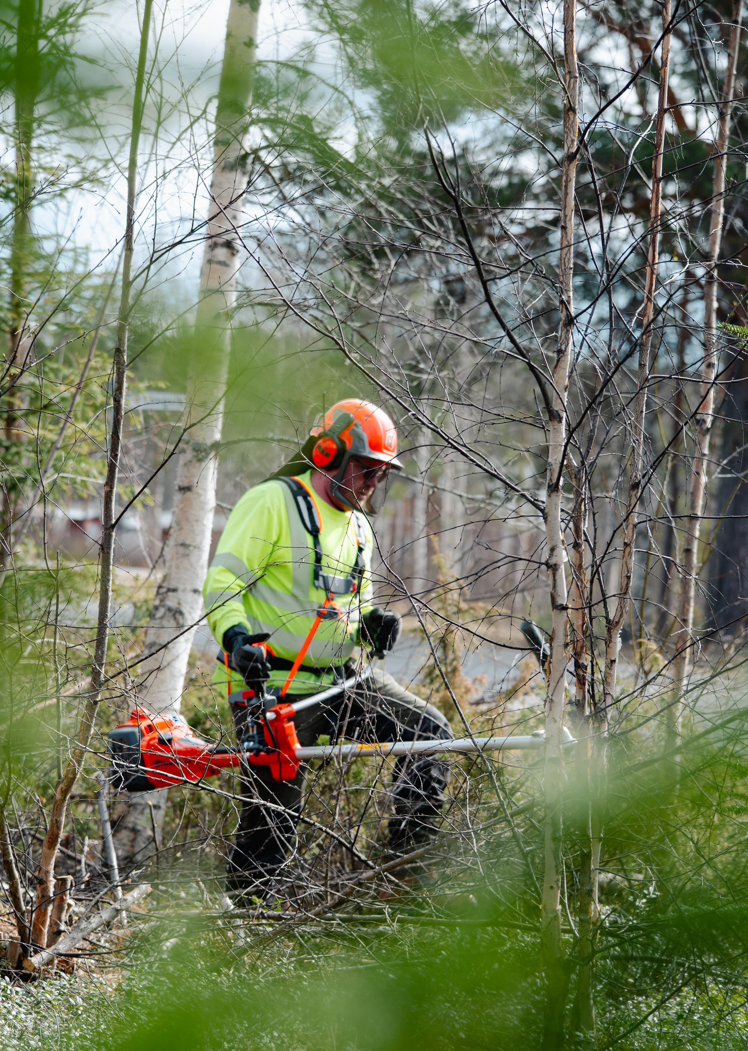 Bild på Samuel Nording som röjer.