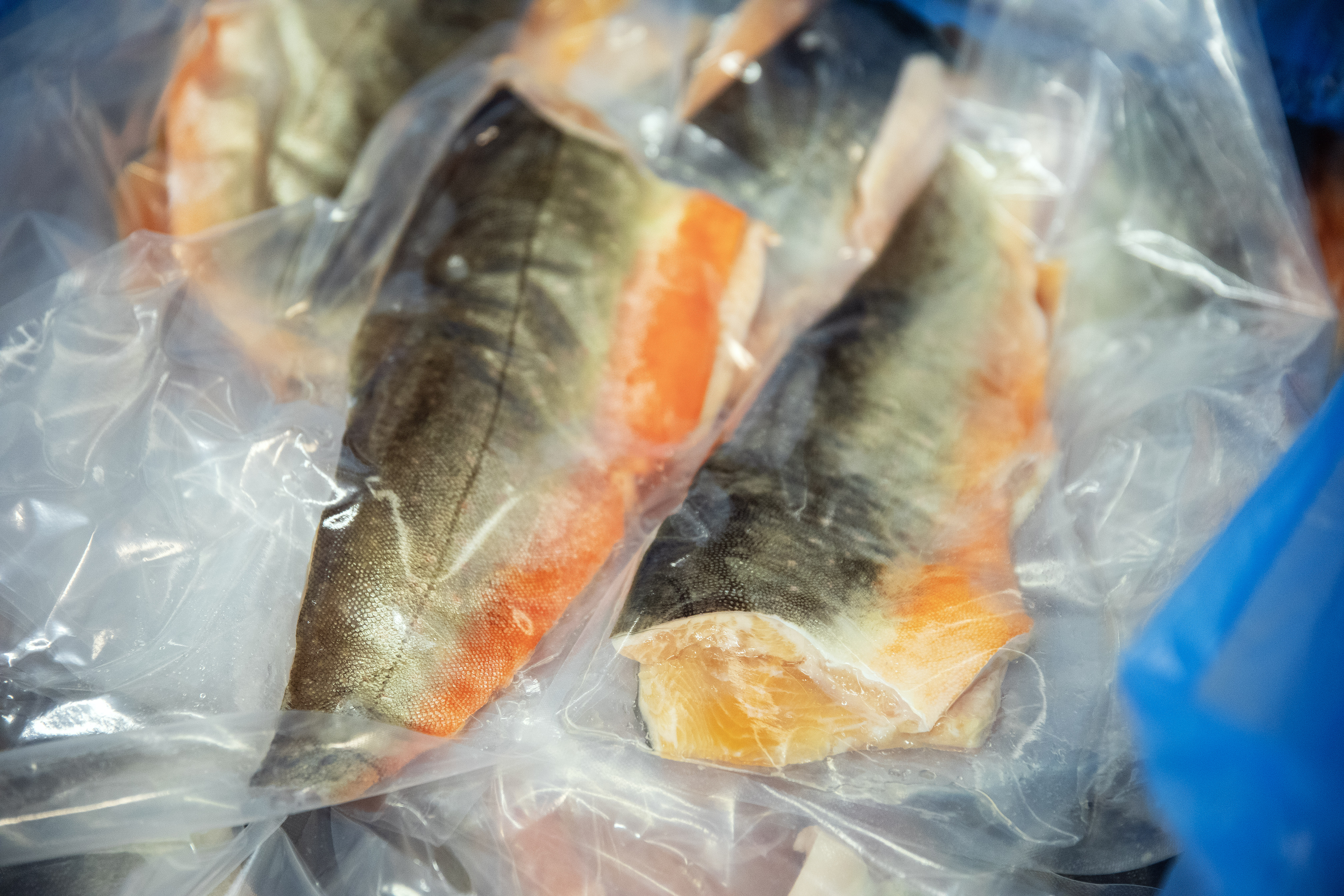 Bild på paketerad fjällröding.