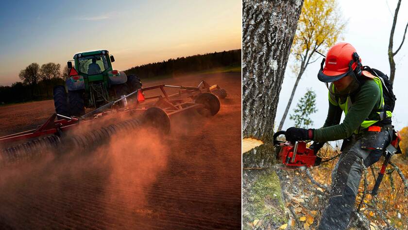 Bilder från lantbruk och skogsbruk.
