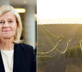 lena-liisa-tengblad-elledningar