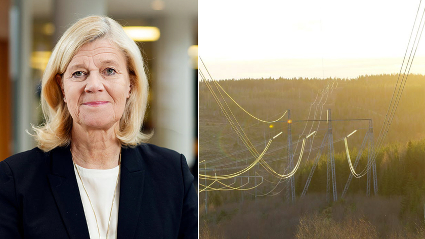 lena-liisa-tengblad-elledningar