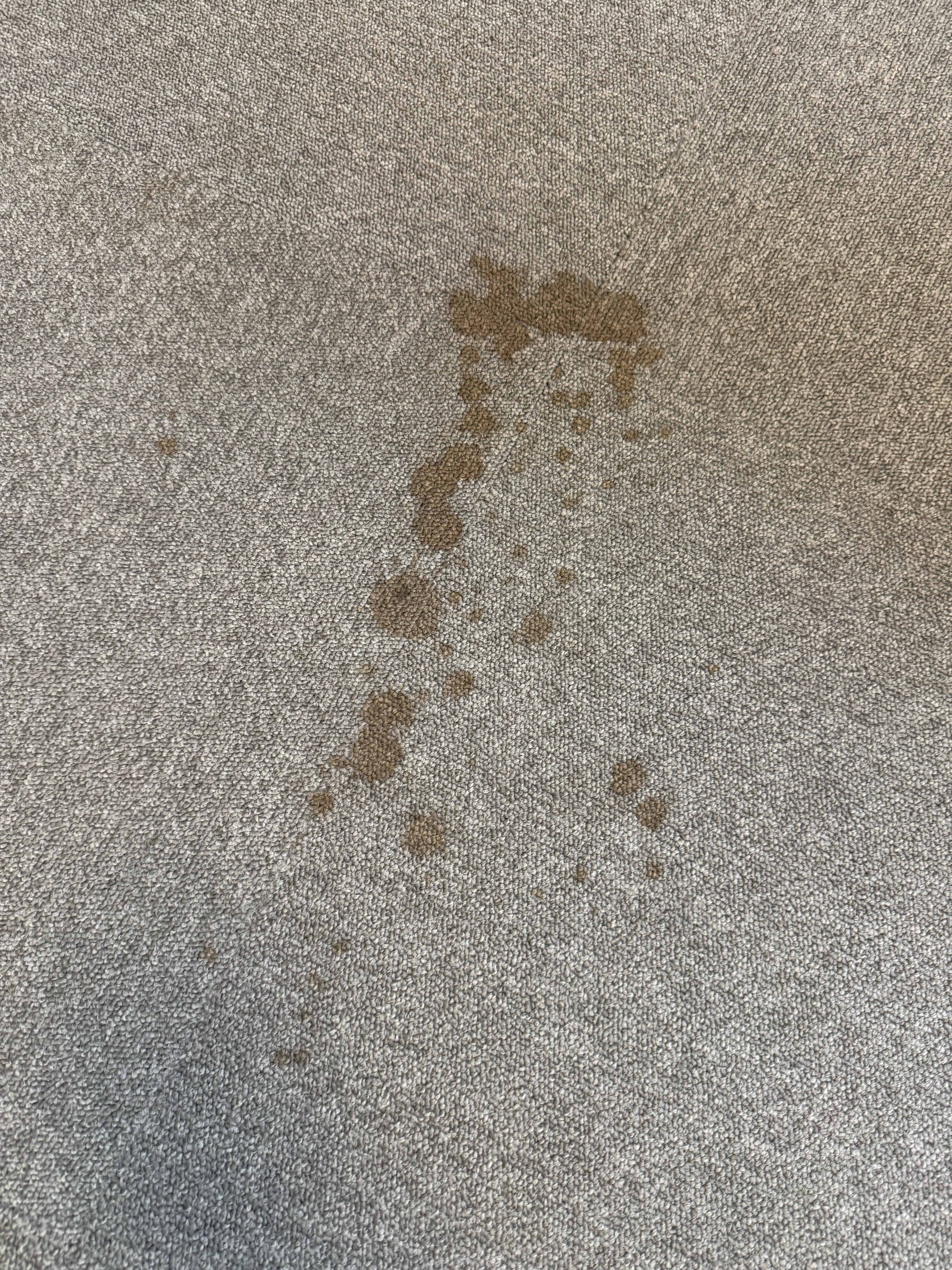 Bild på kaffefläck