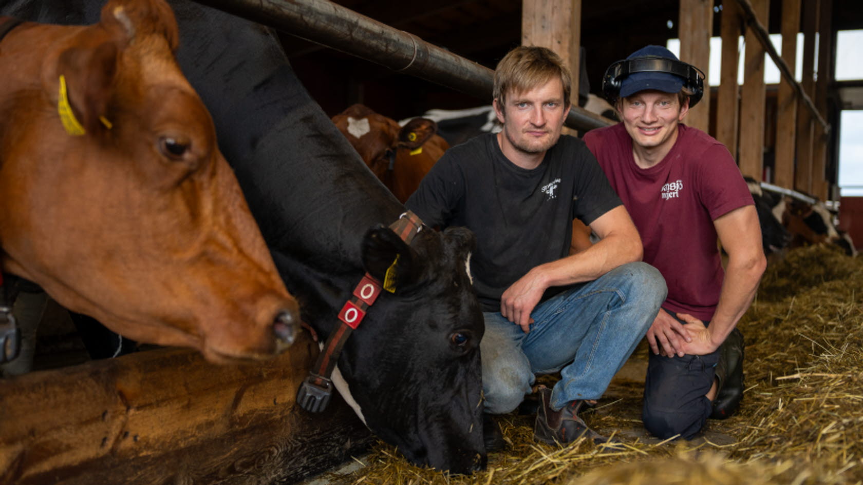Bild på Johan och Björn Daniels.
