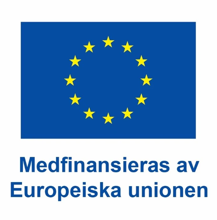 Bild på EU-flagga med texten "Medfinansieras av Europeiska unionen".