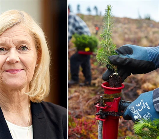 Lena-Liisa Tengblad, vd på Gröna arbetsgivare.