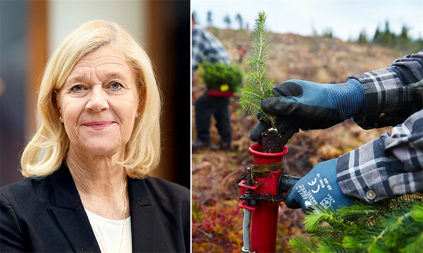Lena-Liisa Tengblad, vd på Gröna arbetsgivare.