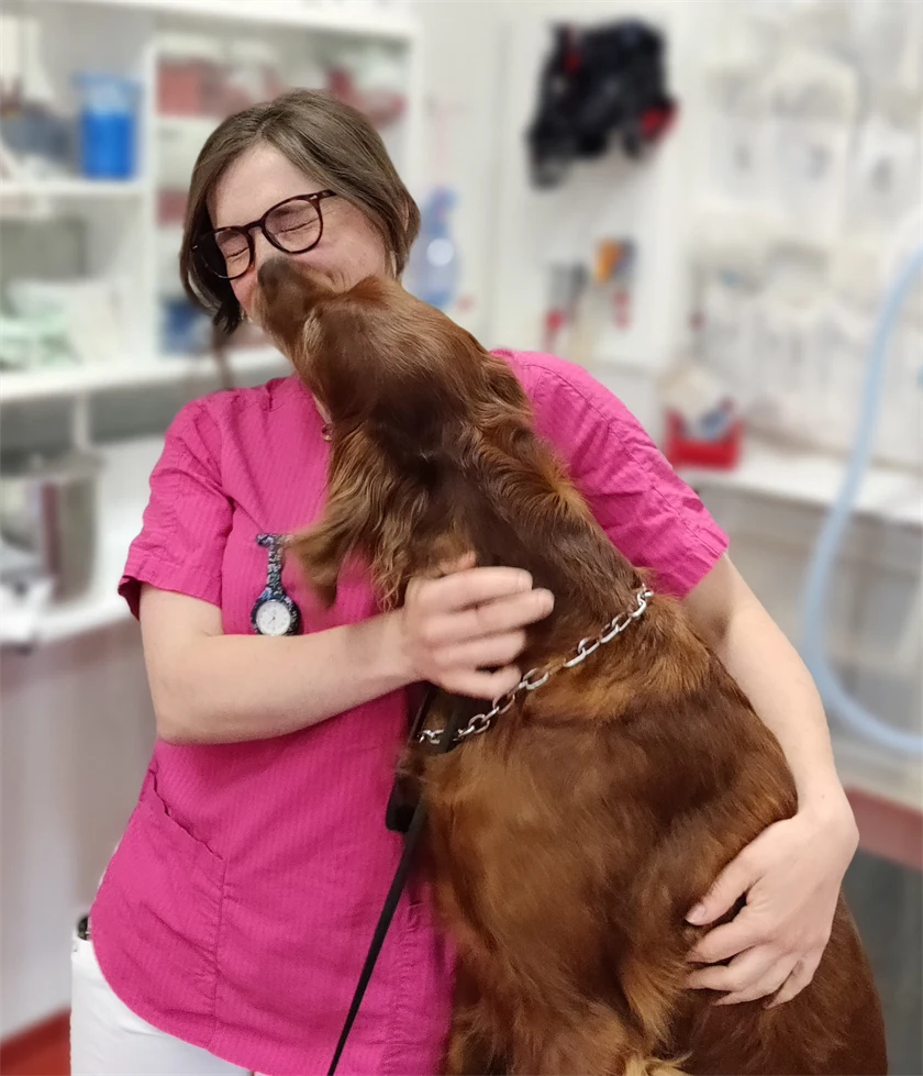 2023 års vinnare av bildtävlingen. Bild på veterinär med hund. Hälsinge Smådjursklinik.