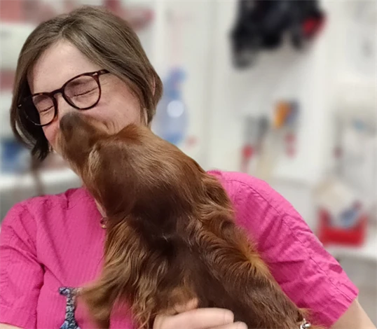 2023 års vinnare av bildtävlingen. Bild på veterinär med hund. Hälsinge Smådjursklinik.