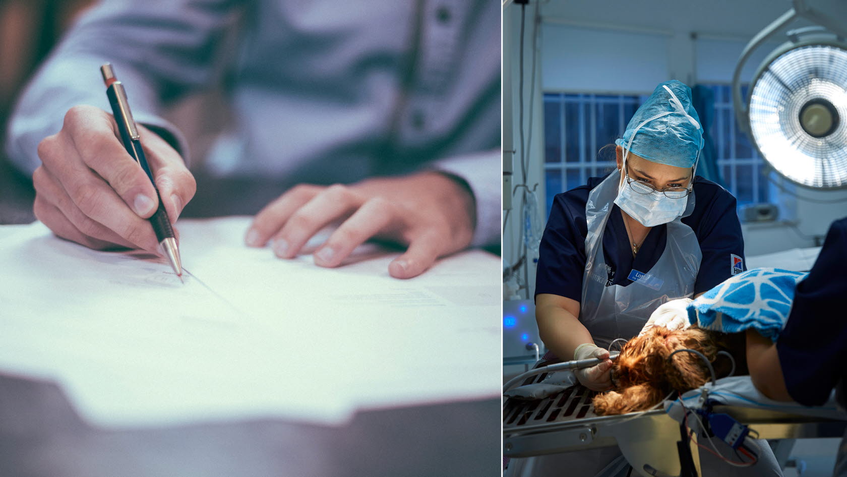 Bild på hand som signerar avtal och bild på veterinär.