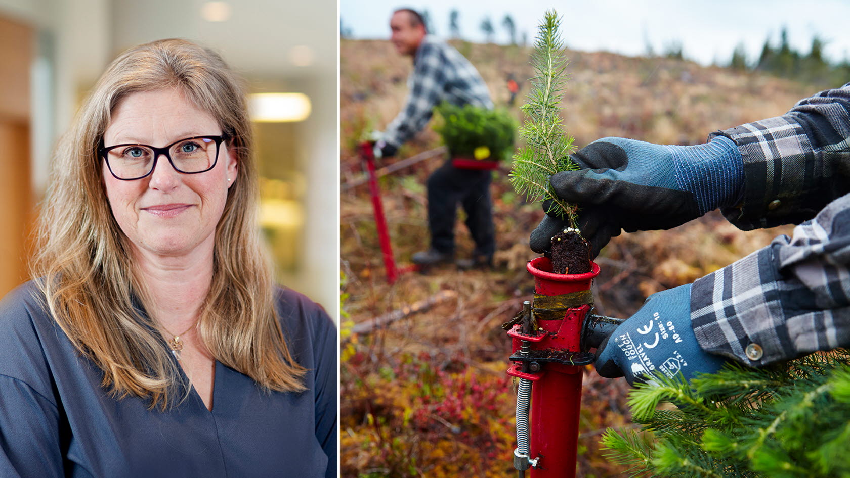 Emma Terander, chef för arbetsmarknad, Grön arbetsgivare.