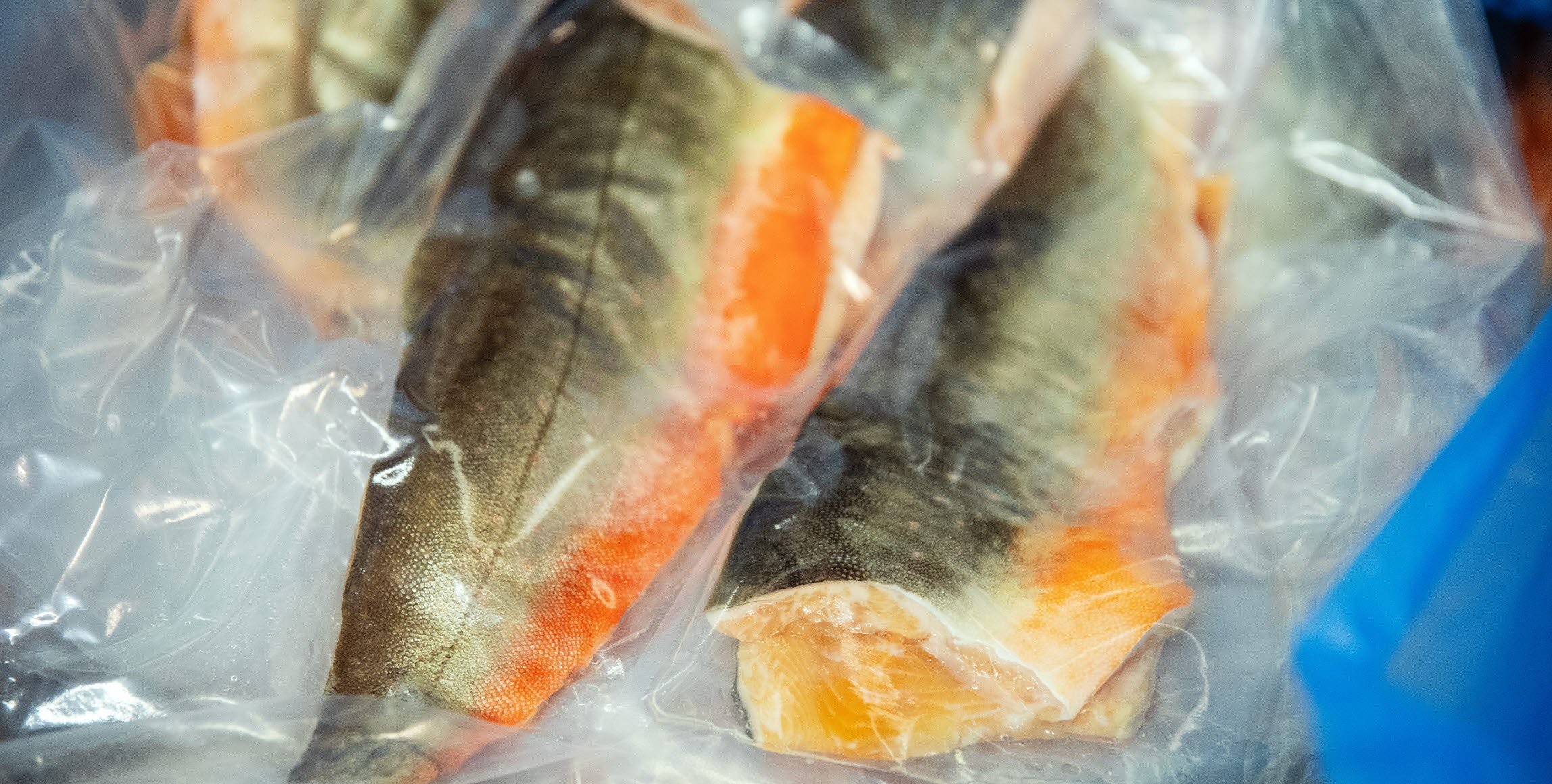 Bild på paketerad fjällröding.