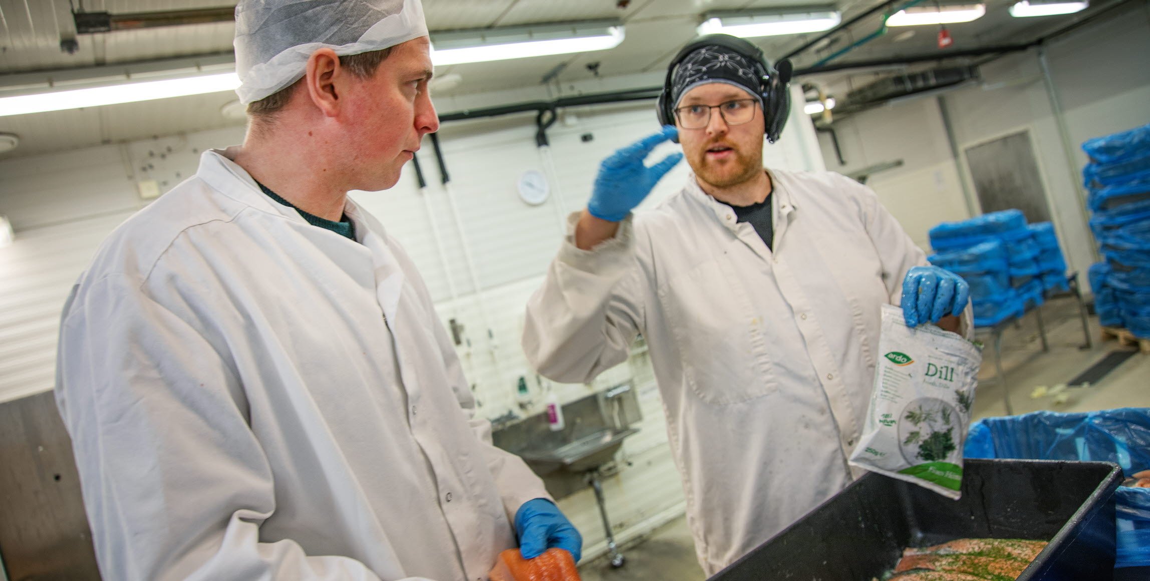 Bild på Emanuel Nygren i samspråk med Per Christoffer ”PC” Ekbäck som är i färd med att grava fjällröding i förädlingsanläggningen i Vilhelmina.