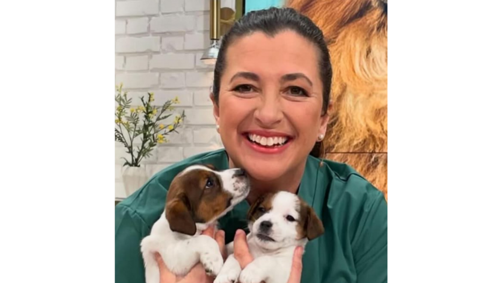 Marie Jury, vd för Väsby Djursjukhus.