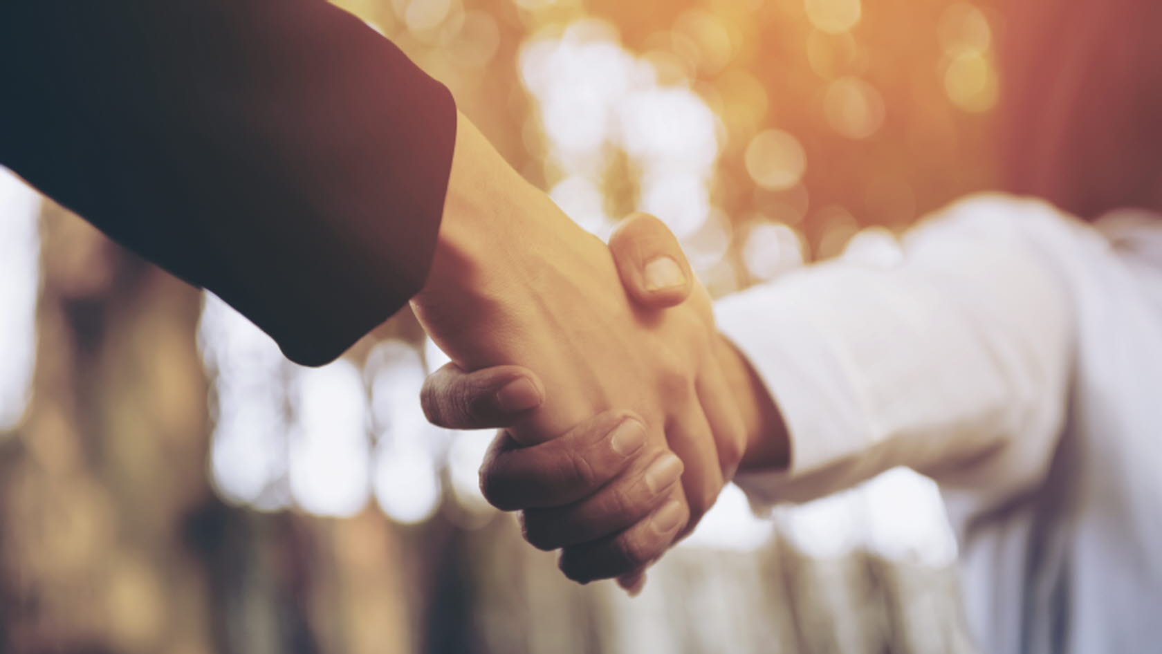 Bild på handslag.