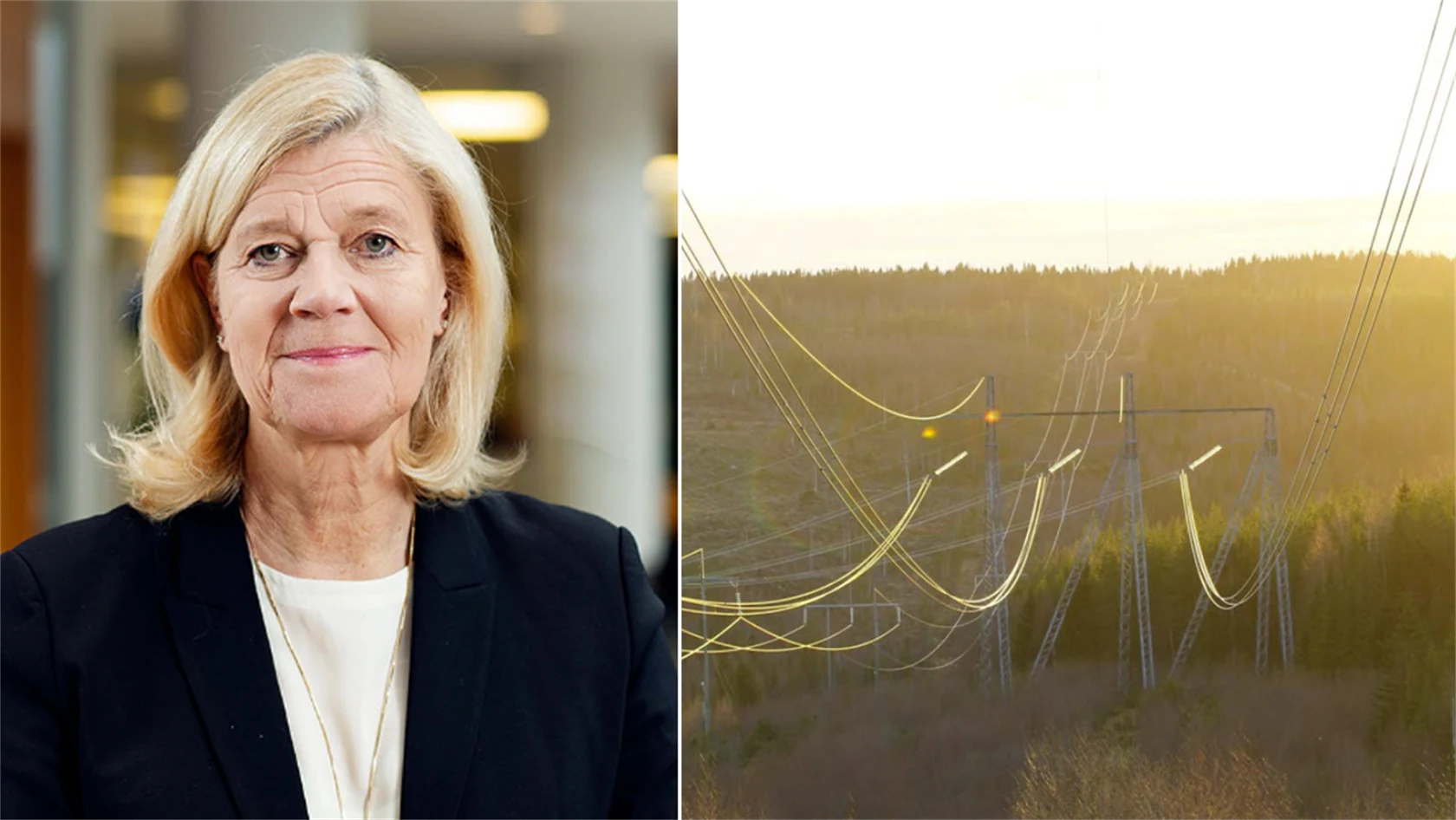 lena-liisa-tengblad-elledningar